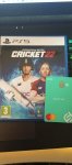 cricket22.jpg